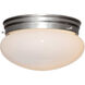 Basic 2 Light 9 inch Pewter Flushmount Ceiling Light